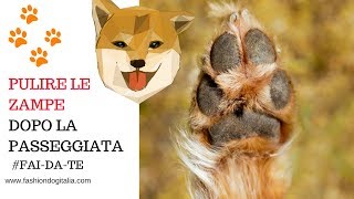 parti del pene maschile sensazione di peni