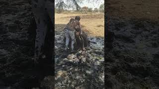 Piplips Leted Hold T. Ud Clips Wbeo Pin It. Unp B