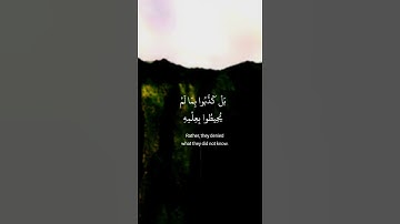 القارئ انس المالك