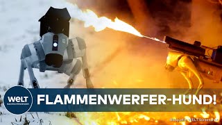 USA: "Kann über das Smartphone gesteuert werden!" Start-up entwickelt Roboter-Hund mit Flammenwerfer