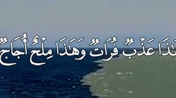 وهو الذي مرج البحرين - تلاوه بصوت جميل