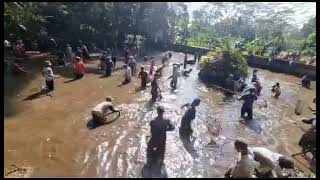 Tradisi Bedah Blumbang Dusun Krajan Desa Giyono