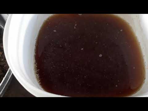 Video Chăn Nuôi Thỏ_ Cách Giảm 50% Chi Phí Thức Ăn_... - youtube