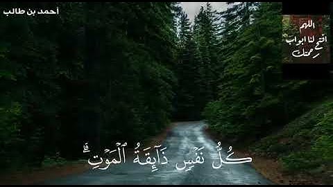 ﴿كُلُّ نَفسٍ ذائِقَةُ المَوتِ﴾ تلاوة الشيخ أحمد بن طالب.🌴