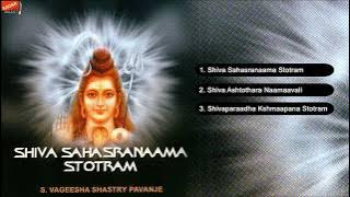 Shiva Sahasranaama Stotra   S Vageesha Shastry Pavanje