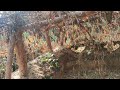 😲 Лесные тропки привели 😲 Неожиданная находка в Житомирском лесу 😲 Стрелковые окопы 😲