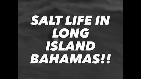 Long Island lifestyle!!