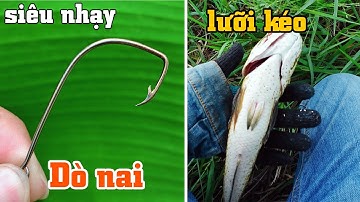 Mẫu lưỡi kéo mới nhất cực kỳ sát cá | THÚ VUI MIỀN TÂY. 61