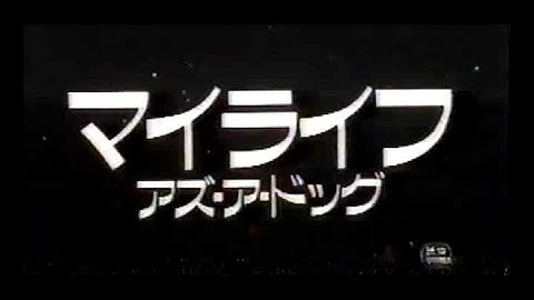 マイライフ・アズ・ア・ドッグ(1985)日本版劇場予告