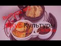 &quot;ВКУС КУЛЬТУРЫ&quot; 2 выпуск. Гость программы - Федоренко Олег Александрович.