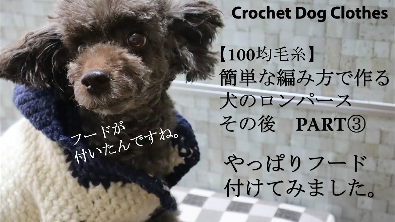 100均毛糸 簡単な編み方で作る犬のロンパースその後 Part やっぱりフード付けました Crochet Dog Clothes 犬服作り方 Youtube