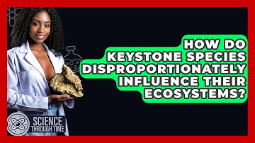 How Do Keystone Species Disproportionately Influence Their Ecosystems? - Science Through Time