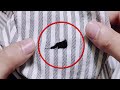 Just take a look at how to fix a hole on your shirt perfectly