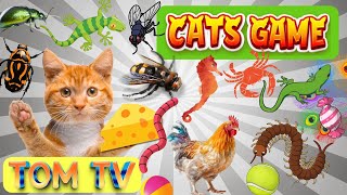 CAT GAMES TOM TV | Ultimate Cat TV Compilation Vol 27 | 3 HOURS | NO ADS