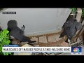 Man scares off masked people at Mid-Wilshire home