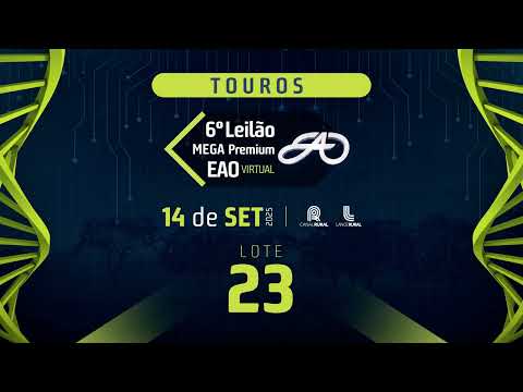 LOTE 23