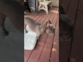 Staying cool is so important