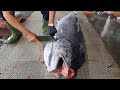 How to cut giant marlin fish - Taiwanese street food