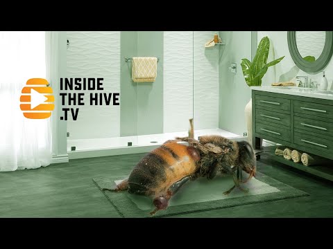 Hygienic behavior kills honey bees