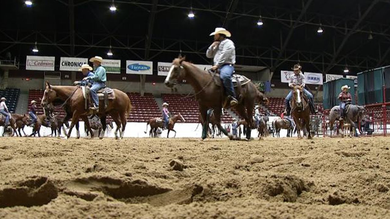 All American Quarter Horse Congress takes over Ohio Expo Center YouTube