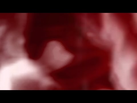 YTP: Vector says 𝕆 ℍ 𝕐𝔼𝔸ℍ