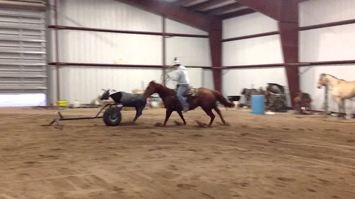Reeca 4yr Old Cory Hatcher