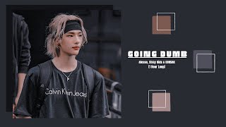 [1시간/ 1 HOUR LOOP] Alesso, Stray Kids & CORSAK - Going Dumb