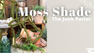 DIY Moss Lamp Shade Cloche