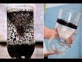 Trampa para Mosquitos! Truco para Eliminar los Mosquitos con una Botella de Plástico, Jamas lo Veras