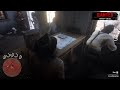 RDR2 Companion Glitch Valentine doctor robbery gone 