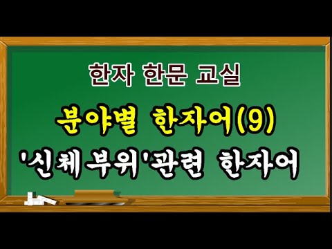 #한자어 #한자공부-신체부위