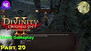 Divinity: Original Sin 2  Silent Gameplay Part 29