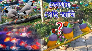 আজকে আপনাদেরকে অনেক কিছু দেখাব???️??????