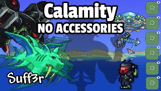 Trust in Summoner. Calamity No Accessories (3) screenshot 5