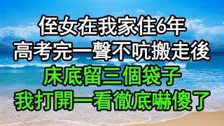 侄女在我家住6年，高考完一聲不吭搬走後，床底留三個袋子，我打開一看徹底嚇傻了#深夜淺讀 #為人處世 #生活經驗 #情感故事