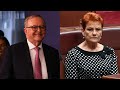 Albanese government tries to ‘discredit’ One Nation to gain support from voters