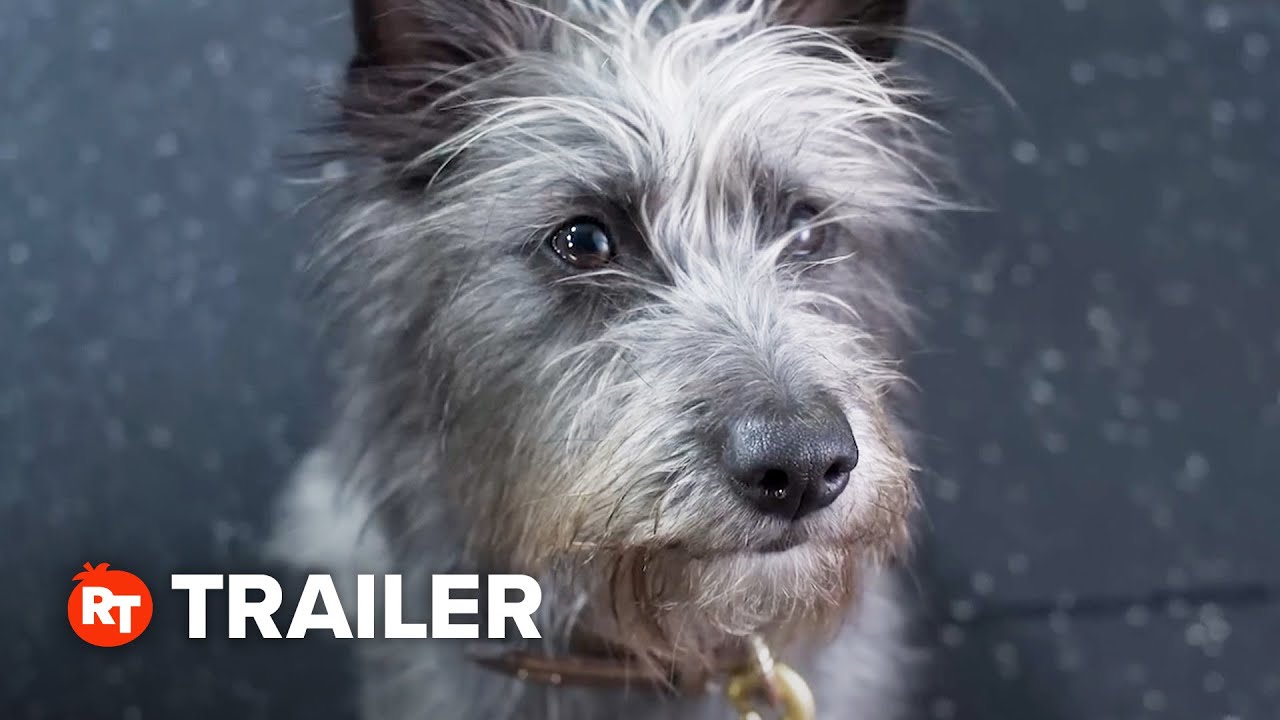 Runt Trailer #1 (2025)