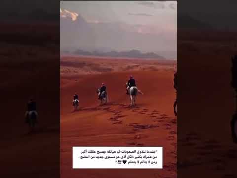 انتهت فرحة سينيني