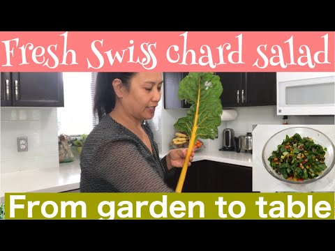 Video: Dyrking Av Sveitsisk Chard - Salatbete
