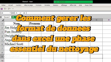 Comment maitriser les formats dans excel pour une bonne coherance des donnees