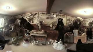 NATURE OF MINOCQUA - Sounds of Minocqua 360