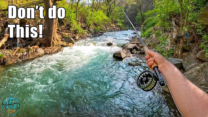 5 Things to Avoid While Fly Fishing! (How to fly fish for trout)