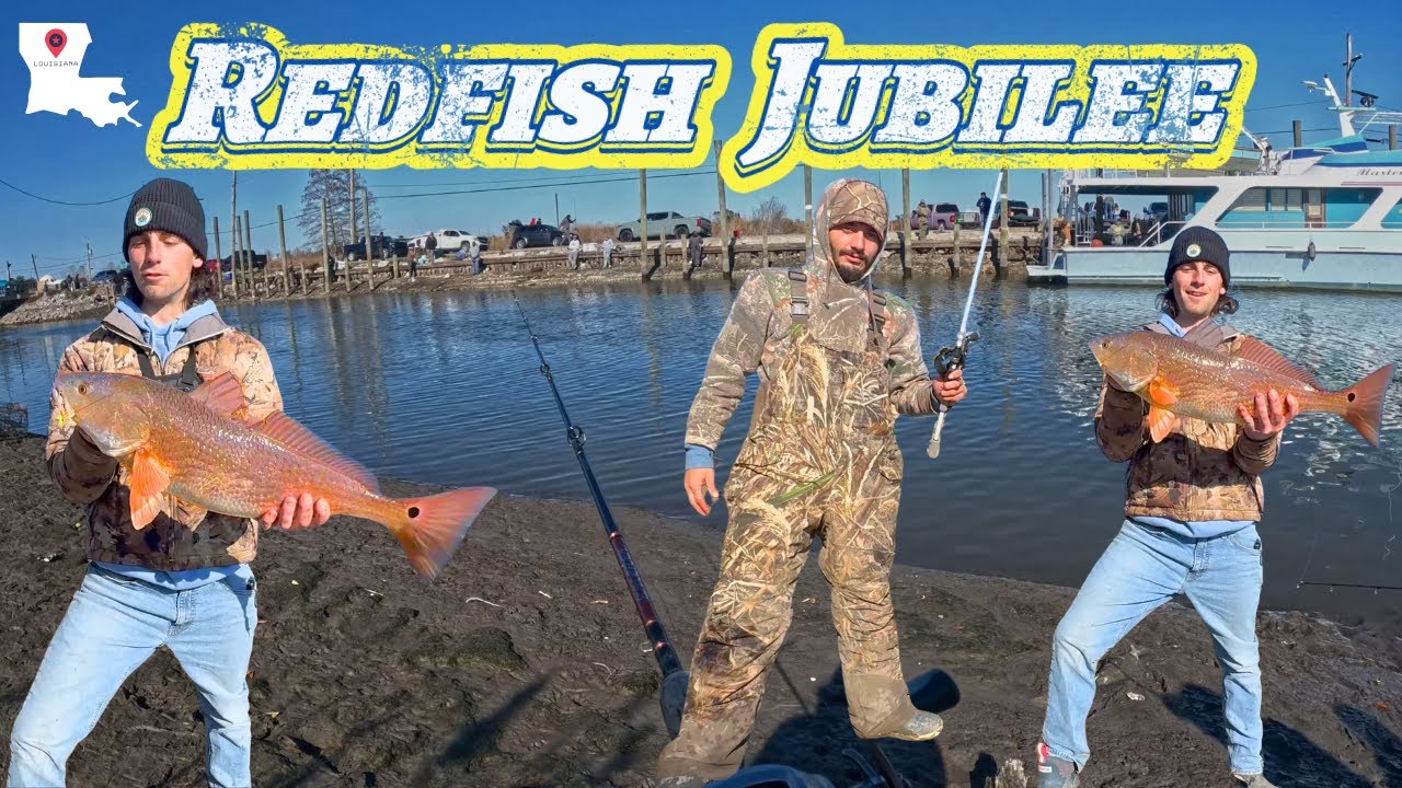 Catching Louisiana Redfish in Shell Beach | Insane Nonstop Inshore Action
