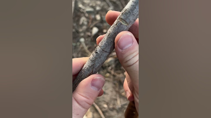 How to carve a WILLOW WHISTLE