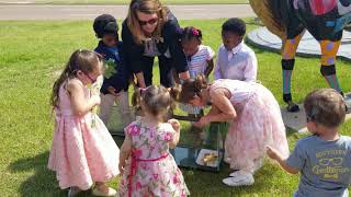 2019 MOSD Graduation Butterfly Release