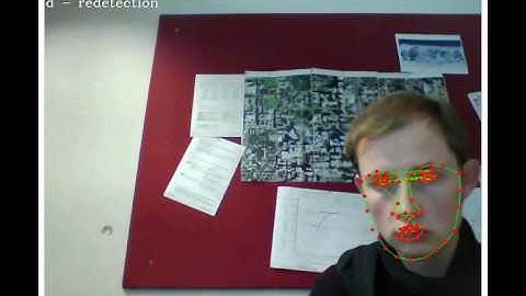 2D Facial Feature Tracking with Active Appearance Model in OpenCV