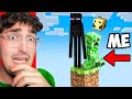 Minecraft but were mobs on one blocks