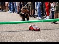 Low Car Limbo 2017 - FF Live Maple Grove Raceway Car Show