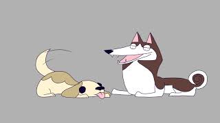 Husky SCREAM