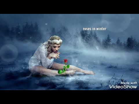 roses in winter- Rosen im Winter / New Age piano harp composition